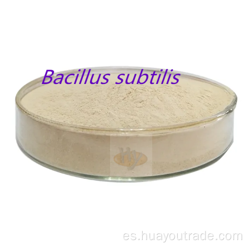 Bacillus subtilis agua insoluble 200CFU/g